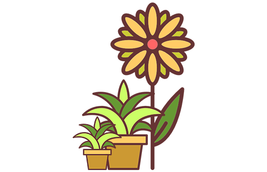 Schnittblumen & Topfpflanzen